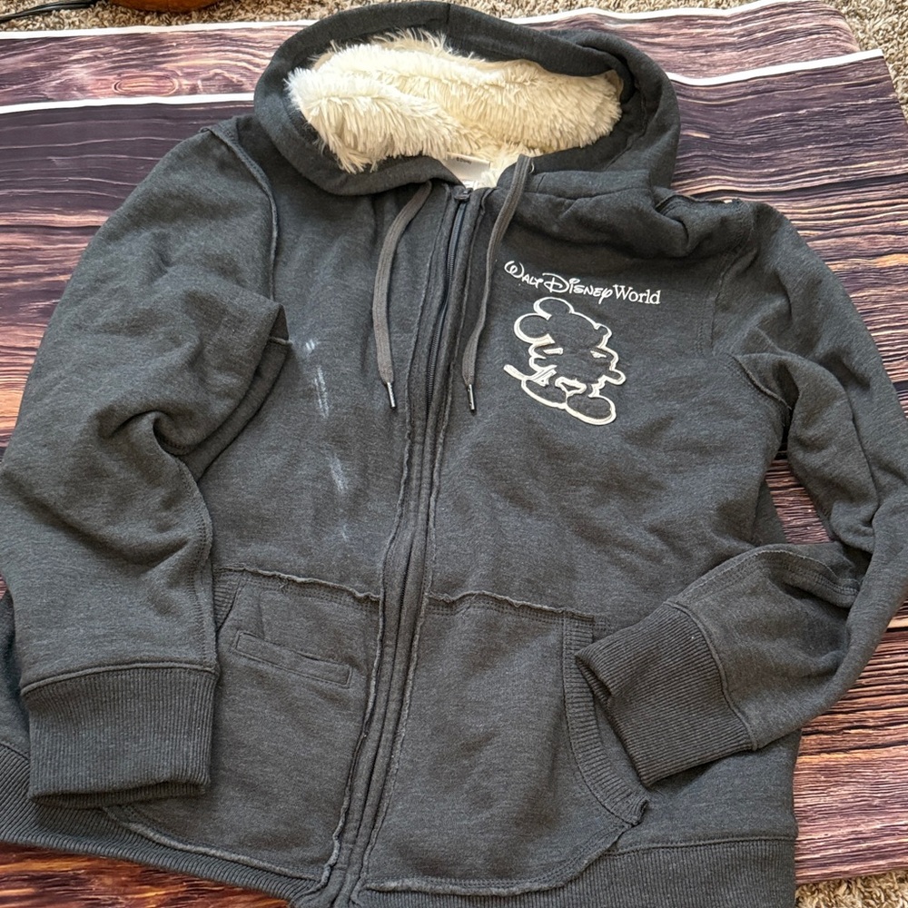 Disney World Charcoal Hoodie with Mickey Outline